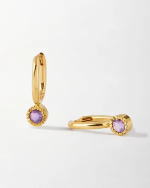 Amethyst Drop Earrings