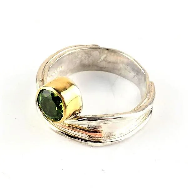 Hanl, Susanna – Silver and Gold Ring
