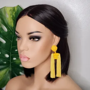 Long Tassel Earrings