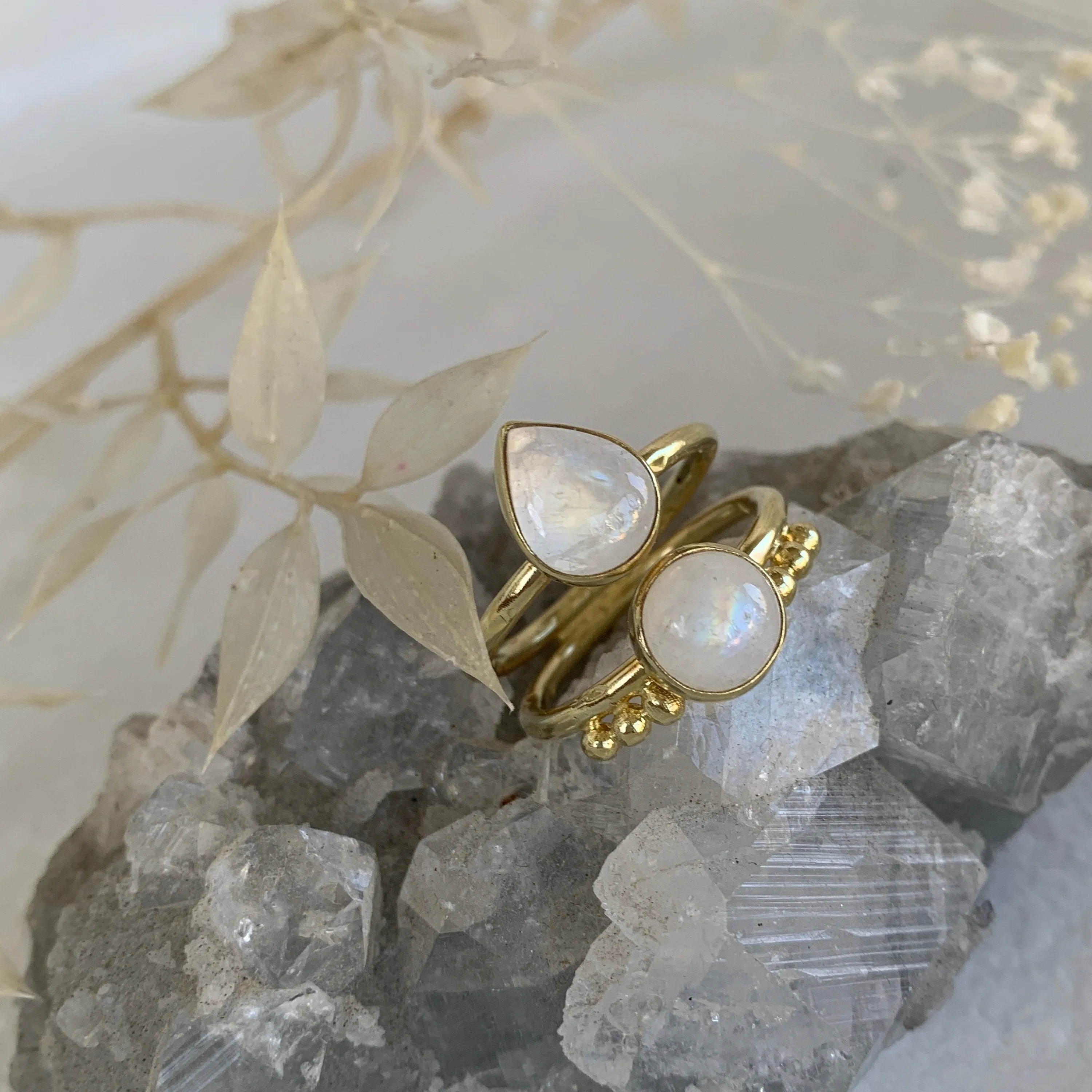 Lucia 14K Gold Rainbow Moonstone