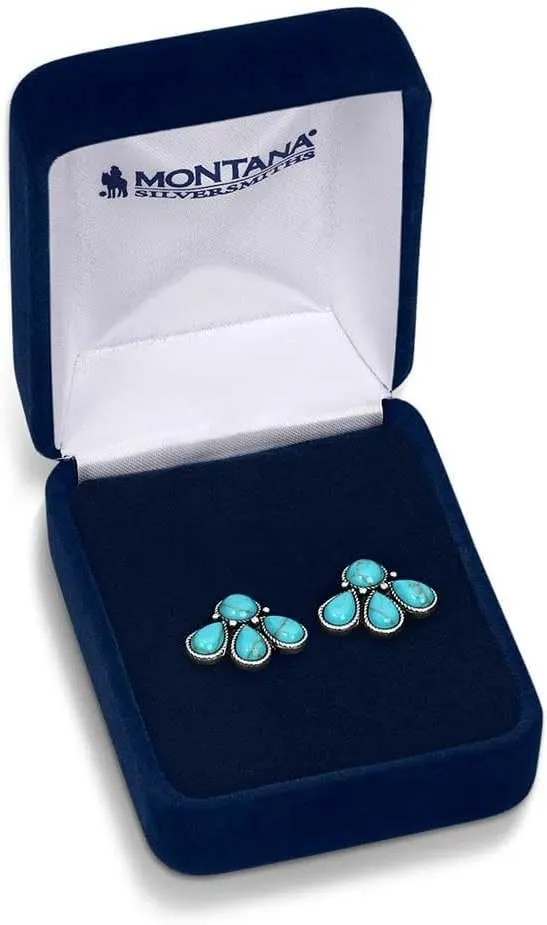 Montana Silversmiths Nature's Wonder Turquoise Earrings - ER5820