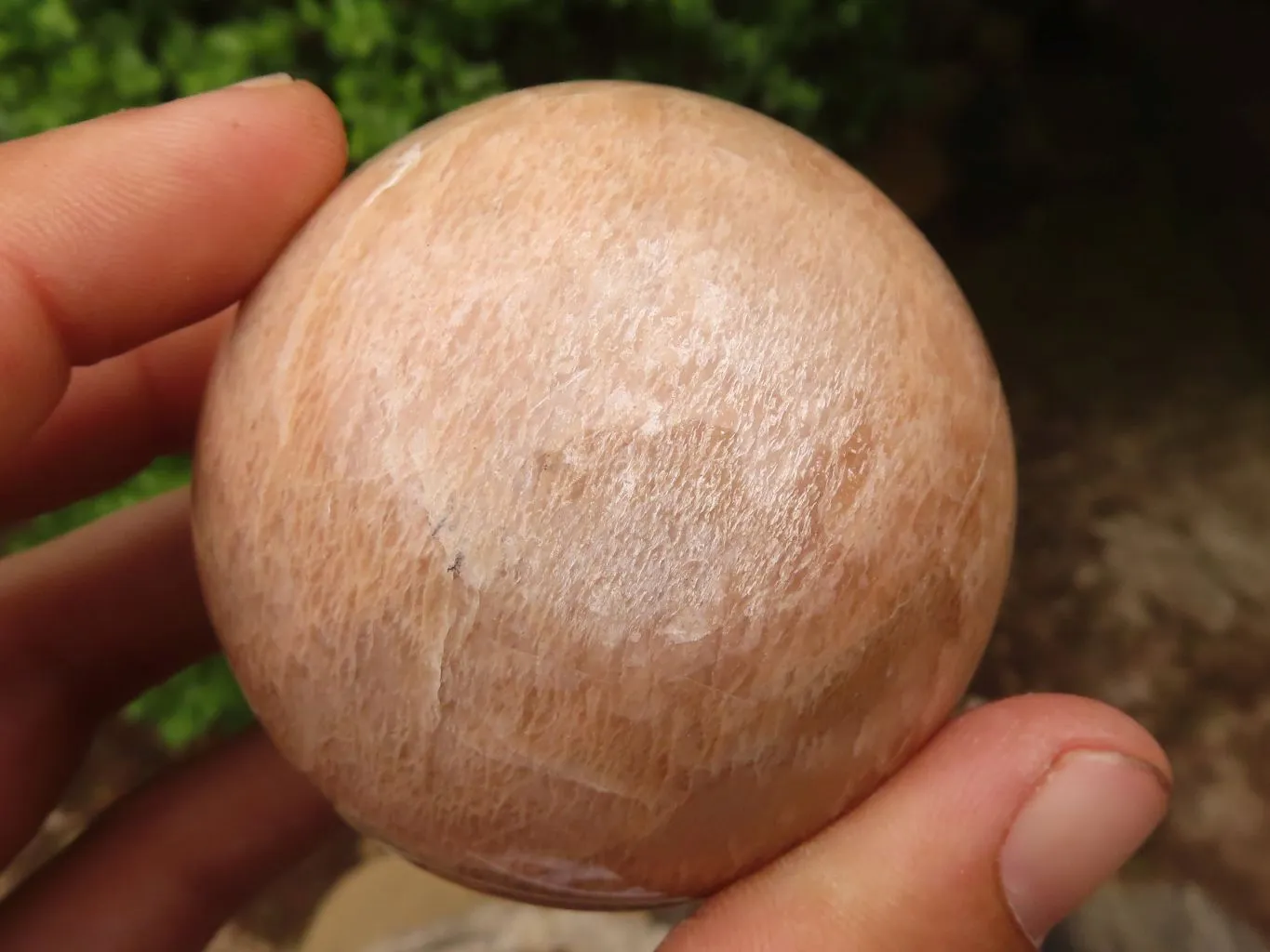Polished Gorgeous Peach Moonstone Spheres  x 6 From Madagascar