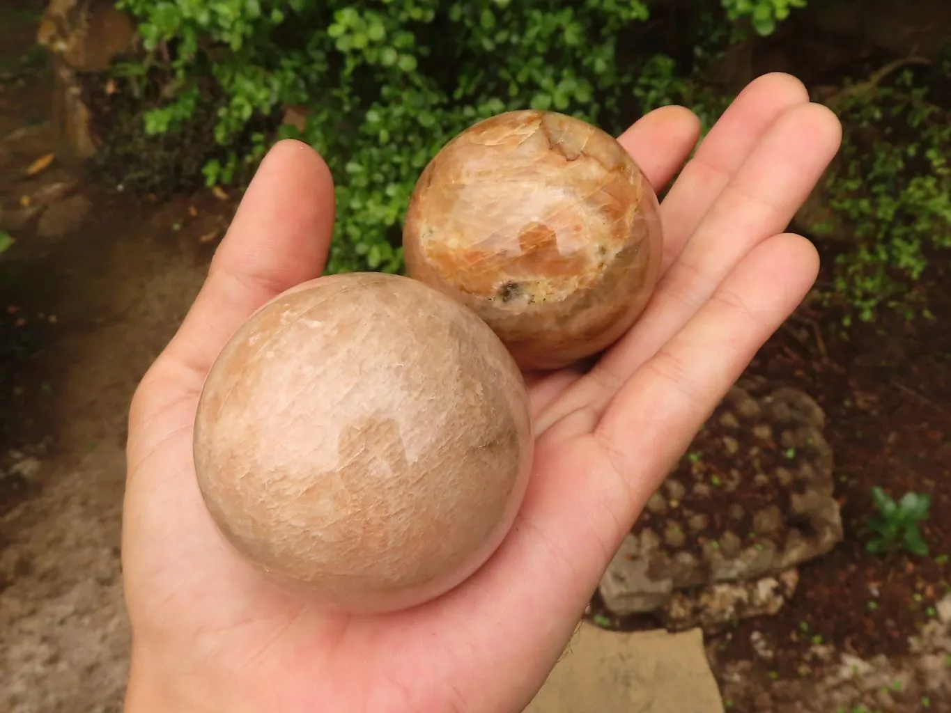 Polished Gorgeous Peach Moonstone Spheres  x 6 From Madagascar