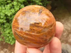 Polished Gorgeous Peach Moonstone Spheres  x 6 From Madagascar