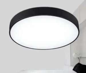 PONTUS Aubergine Slice Ceiling Lamp