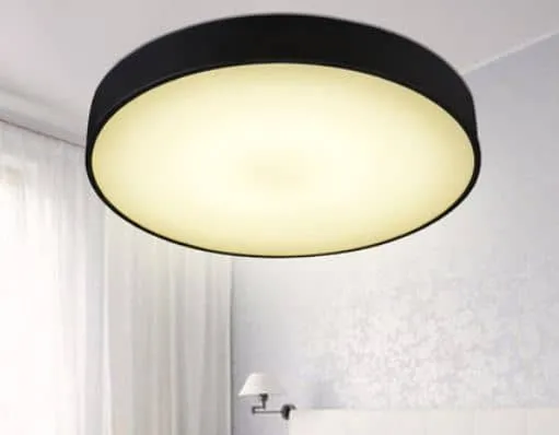 PONTUS Aubergine Slice Ceiling Lamp
